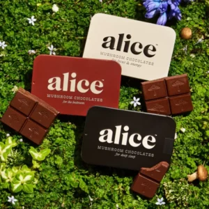 Alice Mushroom Chocolate Alice Mushroom Mushroom Chocolate